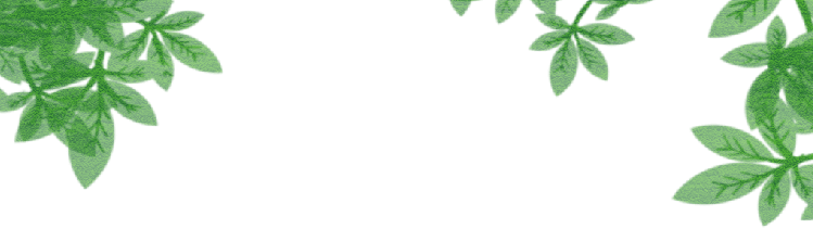 519c1f0ef69d4831918203c13c91edf8.png