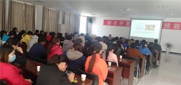 新农开发开展宪法培训