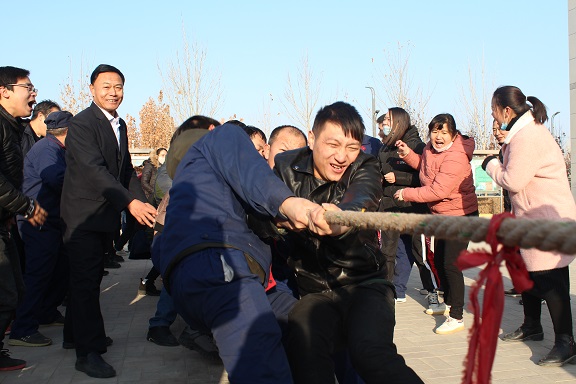 新农开发公司举办庆元旦拔河比赛