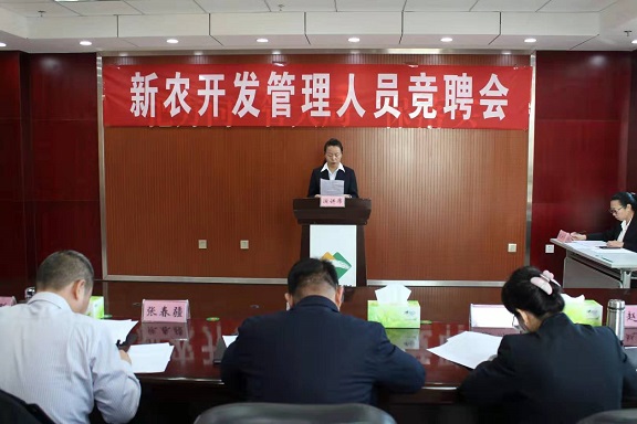 新农开发公司竞聘管理人员