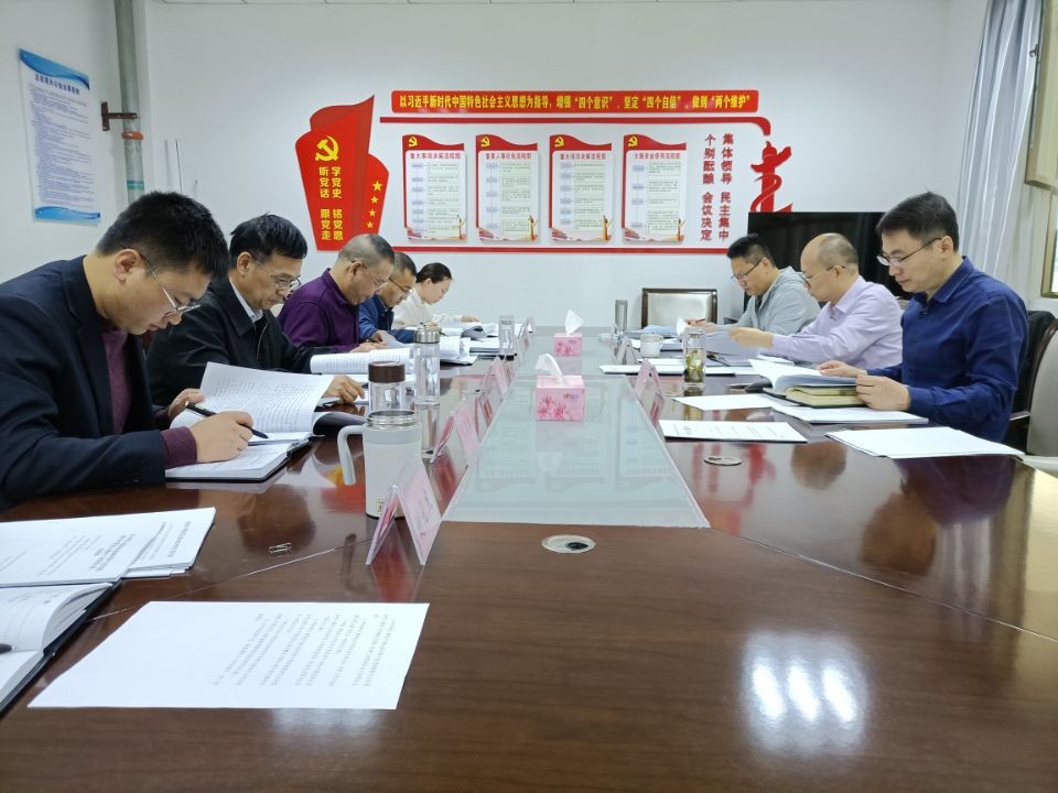 统众公司党委召开2021年党建工作领导小组第一次会议专题研究党建工作   