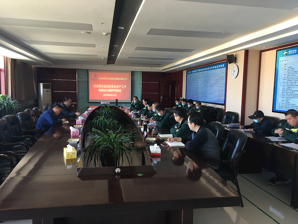 新农开发公司学习传达贯彻落实自治区安全生产会议精神