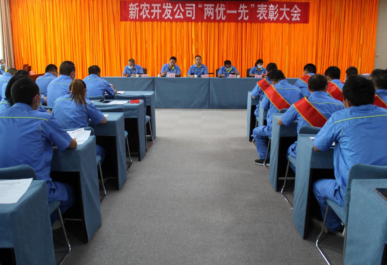 新农开发公司开展“初心向党 喜迎百年华诞”“两优一先”表彰大会