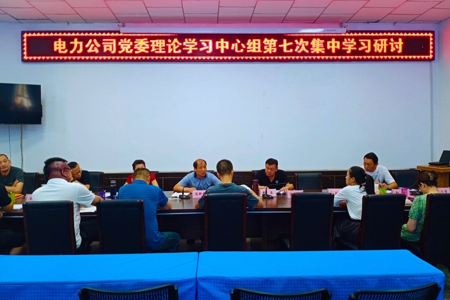 电力公司党委举办理论学习中心组专题学习暨党史学习教育专题读书班