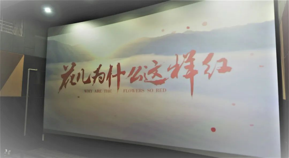 【学习楷模精神 汲取榜样力量】师市公安局各党支部组织观看电影《花儿为什么这样红》