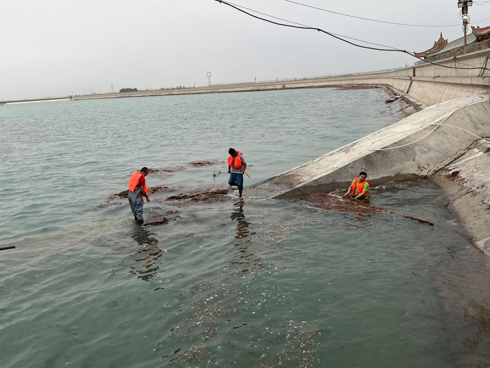加强水源地生态治理，还其碧水蓝天          --多浪水库水源保护地清理整治