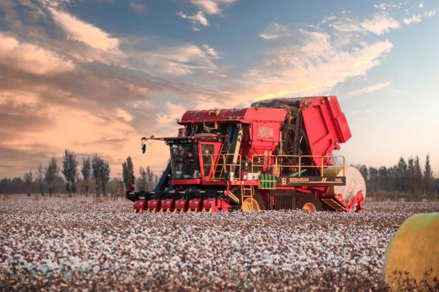 “贷”动采棉机械化，助力农业现代化