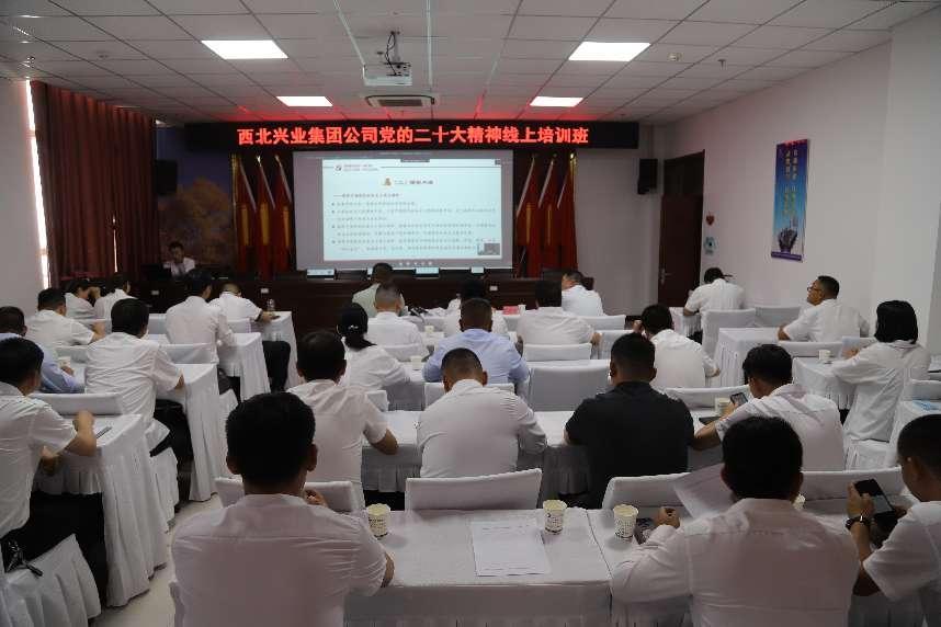 阿拉尔市西北兴业集团公司举行党的二十大精神线上培训班