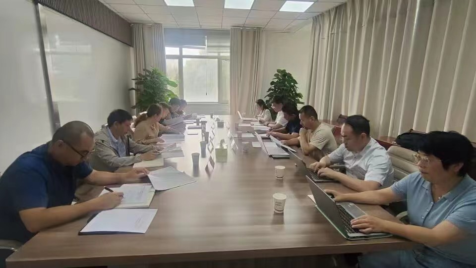 师市国资委深入调研国企战略性重组专业化整合