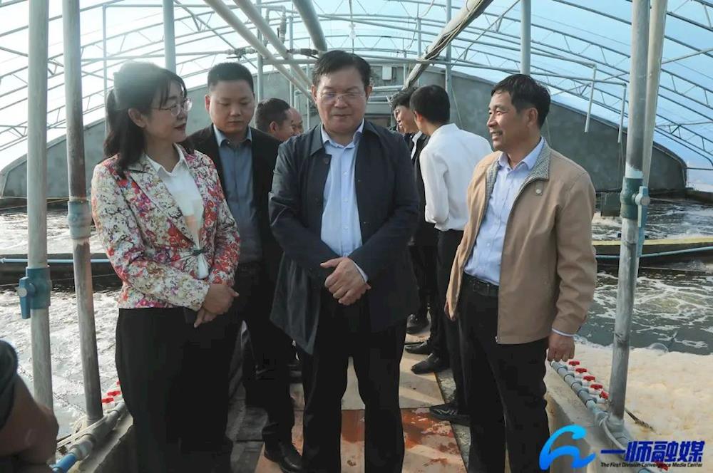 丁翊强调研团镇经济运行情况强调农林牧渔一体推进 发展壮大团镇经济