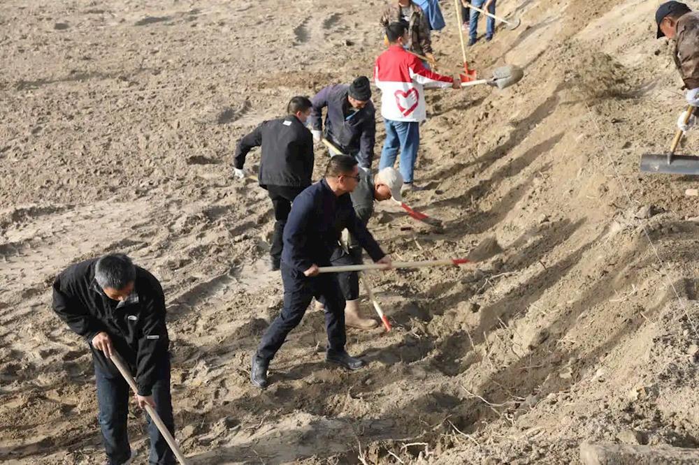 植树造林进行时丨全民同参与 共建绿色文明生态“家”
