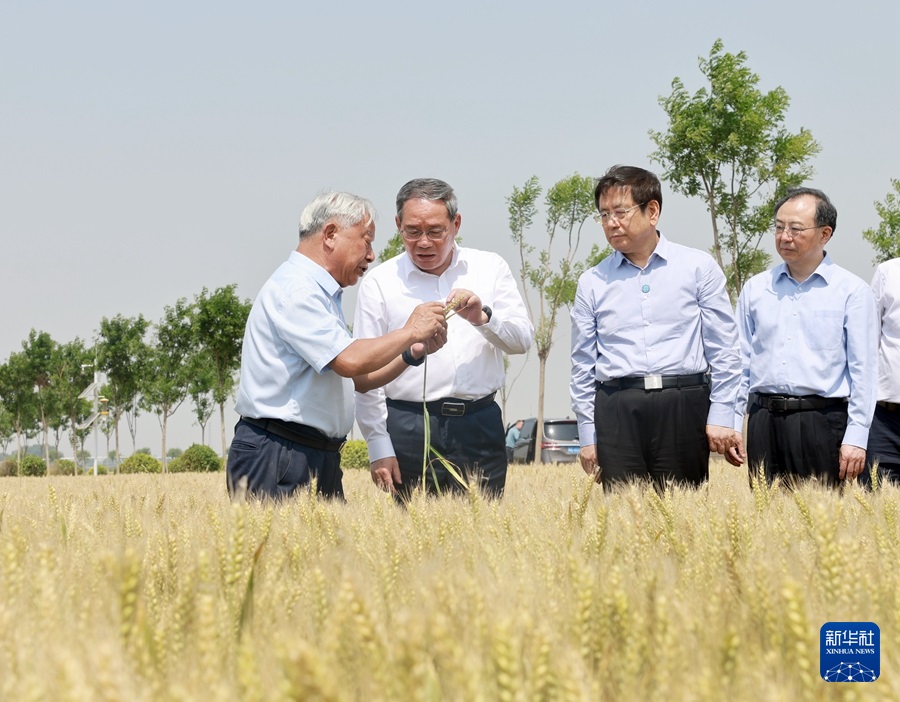 李强在河南调研时强调 扎实做好“三夏”工作确保夏粮丰收 推动农业创新发展夯实现代化产业体系根基