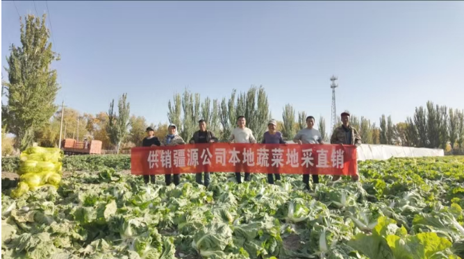 供销疆源公司：大力推进地采直销运营模式切实发挥平抑物价作用