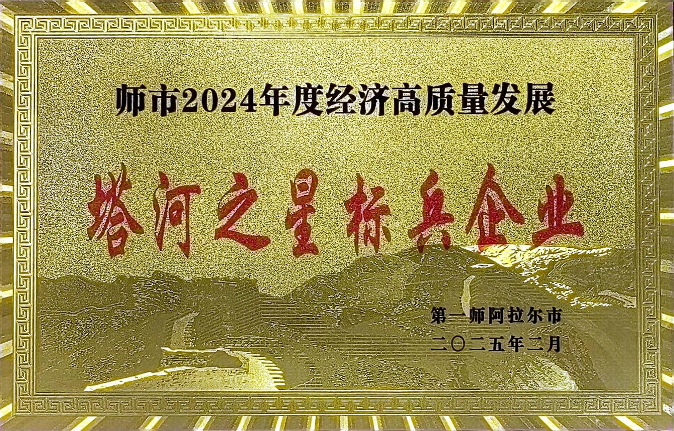 水利水电公司荣获师市2024年度经济高质量发展“塔河之星标兵企业”称号