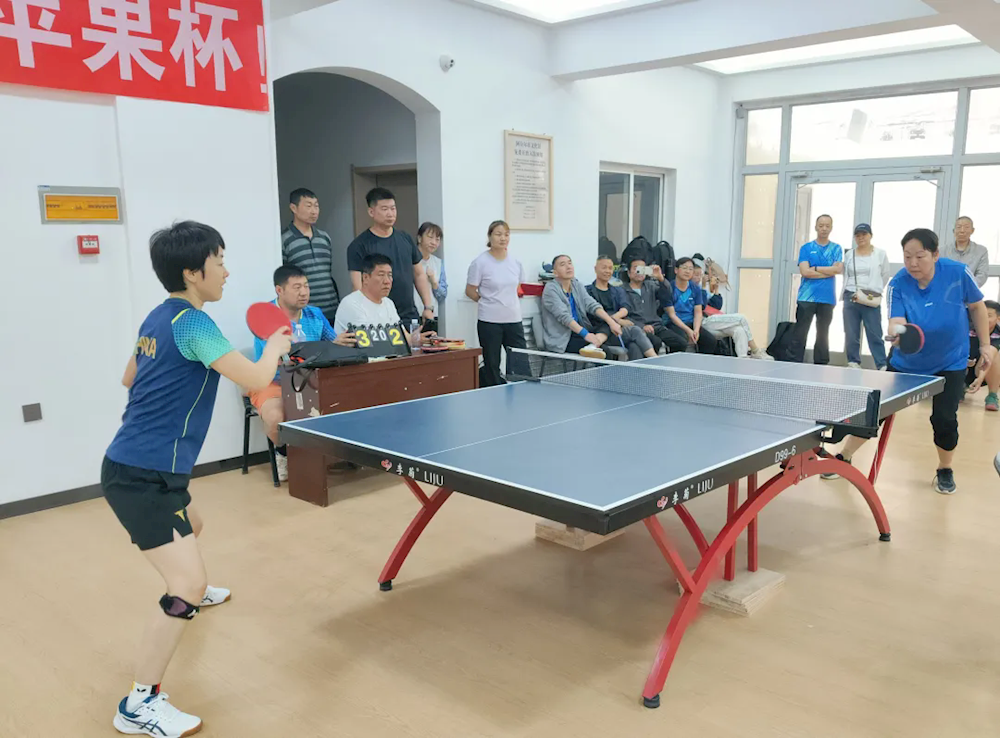 五团沙河镇首届 “苹果杯” 乒乓球赛圆满收官​