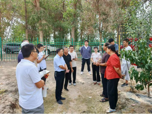 阿克苏地区林业技术推广服务中心来八团开展林果业交流活动