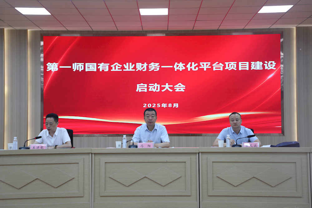 师市国资委召开财务一体化建设项目启动会，开启国资监管数字化转型新篇章