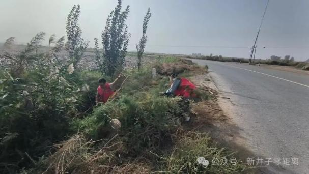 二团清盲区、除杂草，为民筑起平安路