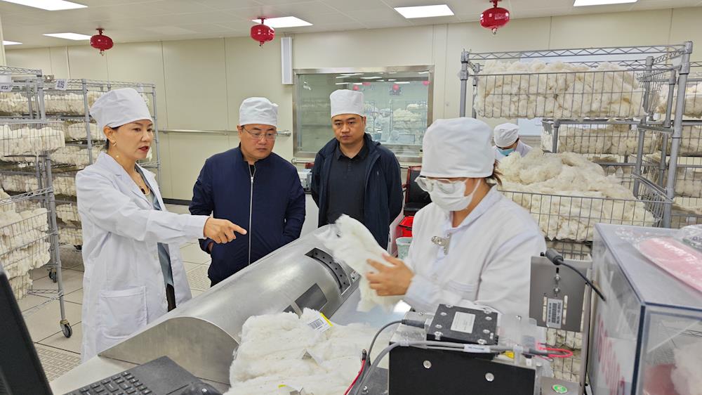 坚守岗位 忠诚履职--中国棉花公证检验阿拉尔实验室以匠心守“棉”安