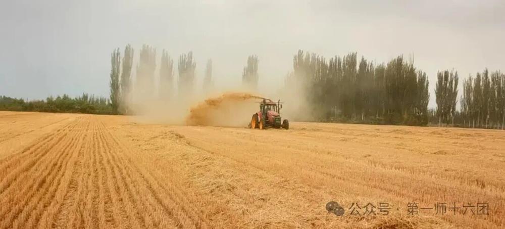 【在希望的田野上】十六团新开岭镇秸秆还田促循环 生态农业见实效
