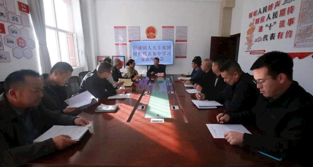 双城镇人大主席团召开学习贯彻党的二十届四中全会精神交流座谈会