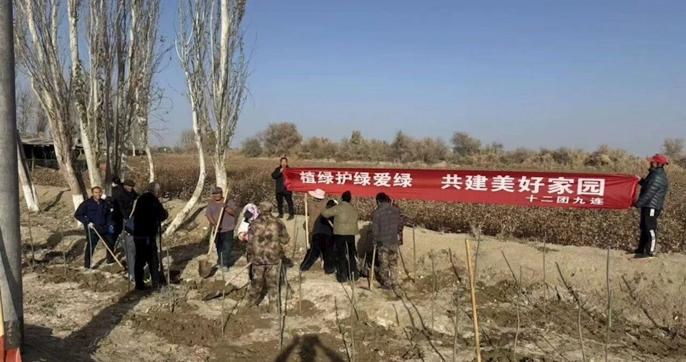 植绿护绿爱绿 共建美好家园