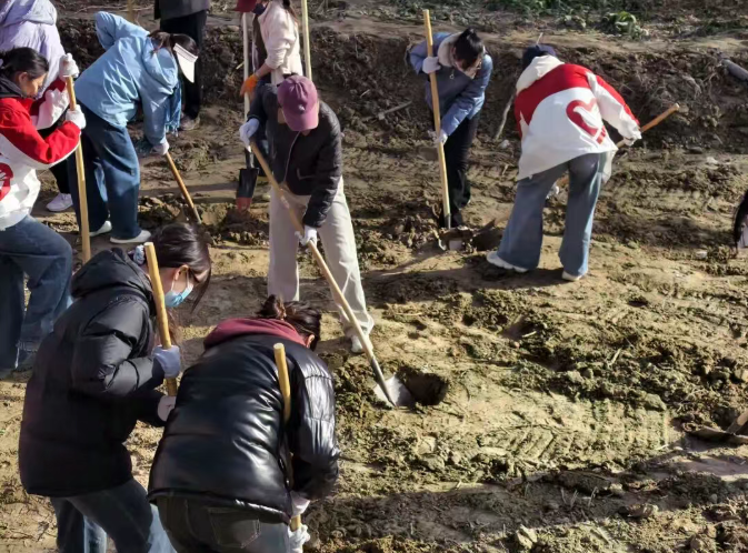 植绿护生态 同心筑家园——十二团开展2025年秋季义务植树活动