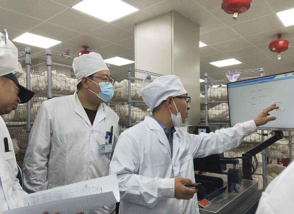 中国棉花公证检验阿拉尔实验室已检棉花突破20万吨