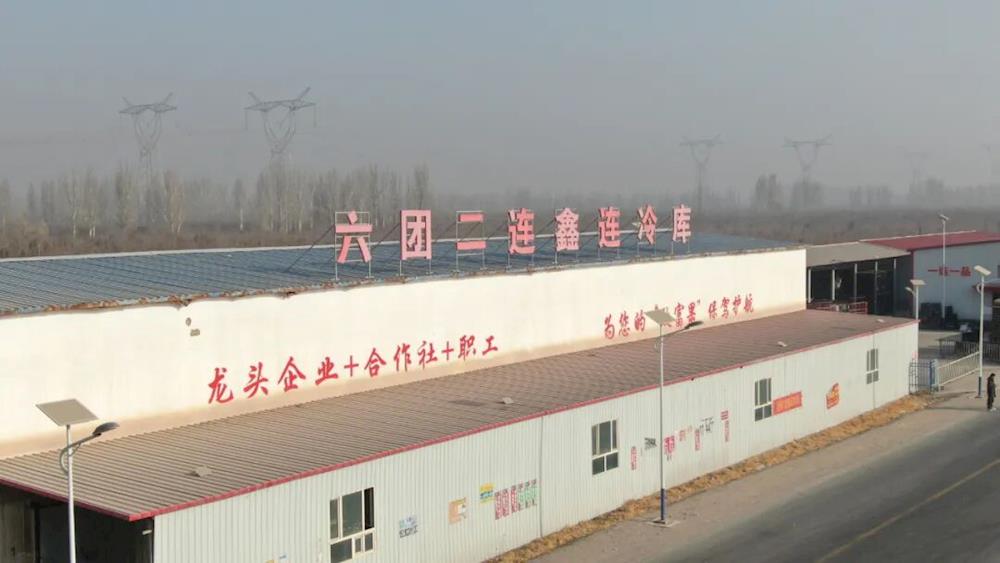 乡村振兴 | 党支部领办合作社 苹果产业铺就乡村振兴“红色道路”