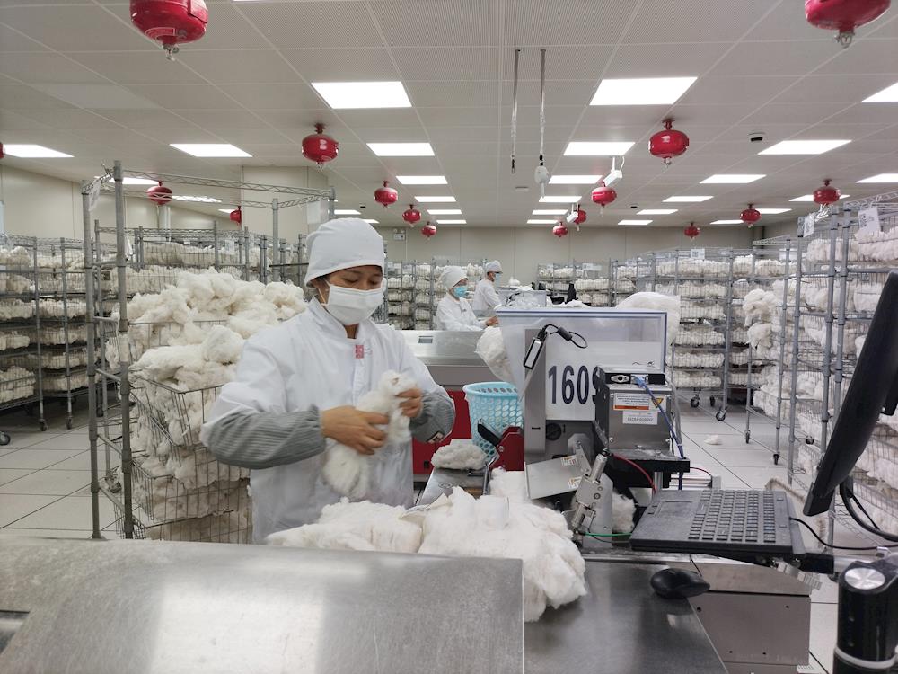 一手抓效率，一手抓相符率 ——中国棉花公证检验阿拉尔实验室2025-2026年度 已检棉花突破30万吨