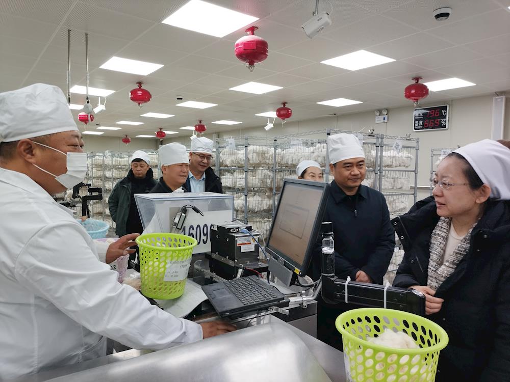 薪火相传，友谊“棉”延 ——中国棉花公证检验阿拉尔实验室2025-2026年度 已检棉花突破40万吨