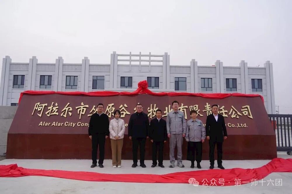 十六团乡村振兴产业蛋鸡养殖场项目揭牌 首批11.6万羽雏鸡入驻开启养殖新篇！