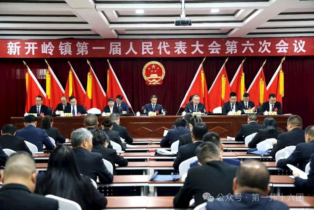 新开岭镇选举产生1名副镇长