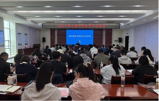 以学促能 以练提质——阿拉尔纤维检验所扎实推进棉花感官检验技术培训成果转化
