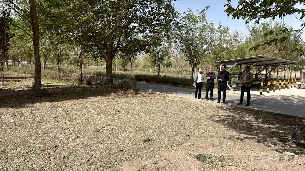 二团整治城镇小区违规菜地成效显著