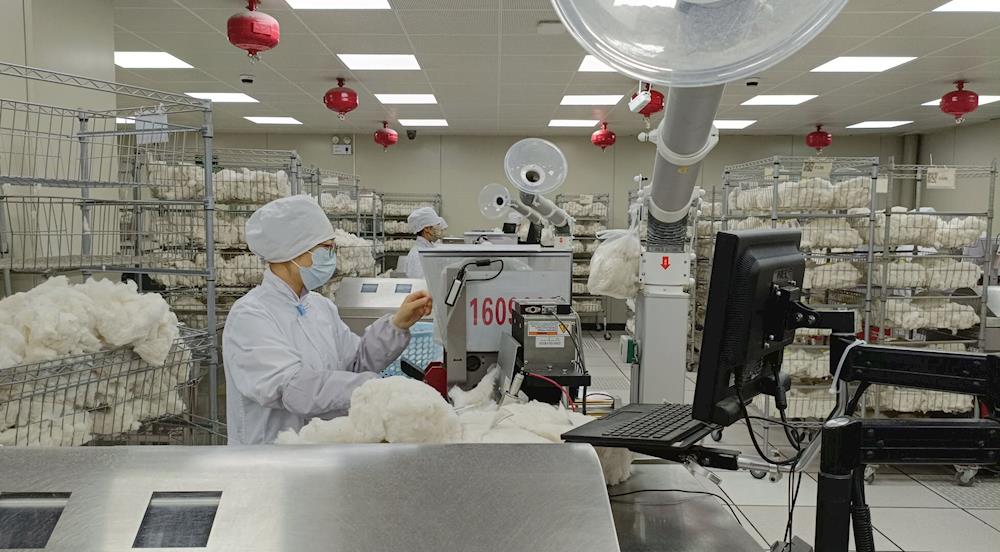 中国棉花公证检验阿拉尔实验室已检棉花突破五万吨