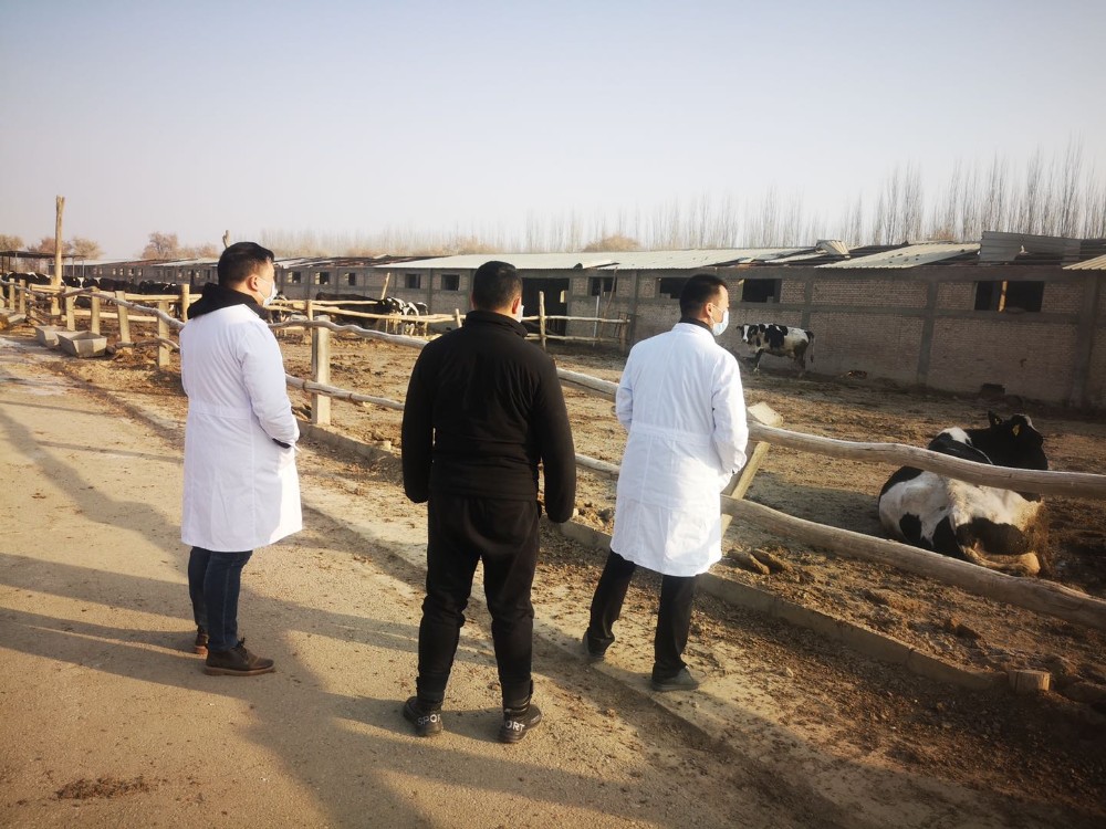 生产再忙  安全不忘  ——托峰冰川牧业公司开展节前安全隐患大排查