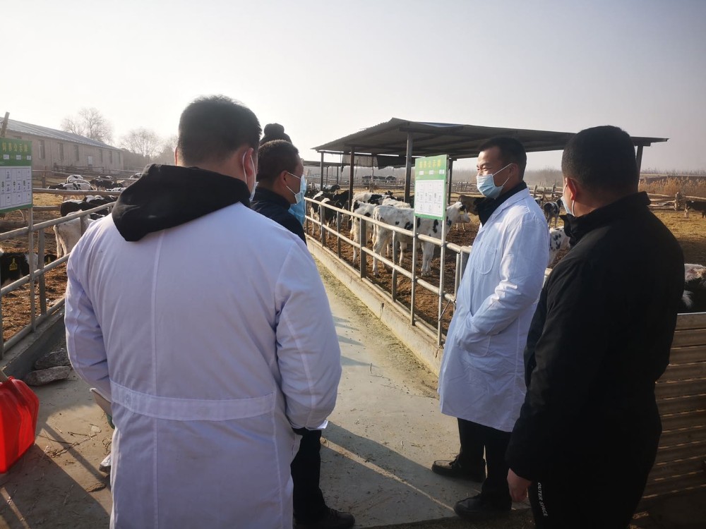 生产再忙  安全不忘  ——托峰冰川牧业公司开展节前安全隐患大排查