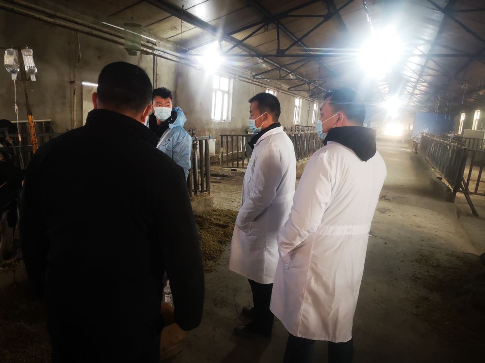 生产再忙  安全不忘  ——托峰冰川牧业公司开展节前安全隐患大排查
