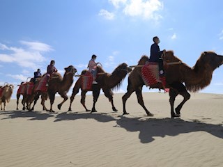 旅游景区