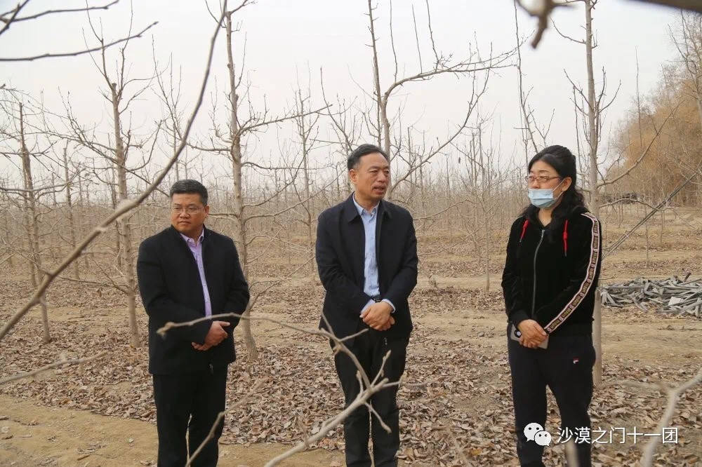 兵团农业农村局党组书记,局长杨秀理率队来十一团调研指导工作