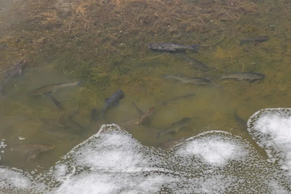 a427a8f4f70041b59716555f7ab80443.jpg a427a8f4f70041b59716555f7ab80443.jpg