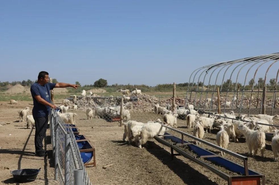 339aa3ebfb824806bde11b539ae57a1e.jpg 339aa3ebfb824806bde11b539ae57a1e.jpg