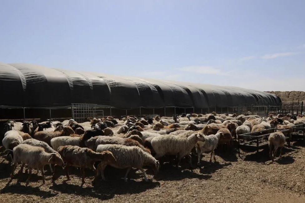 8e64e99aefc448bbbe62577e5d8e9e4a.jpg 8e64e99aefc448bbbe62577e5d8e9e4a.jpg