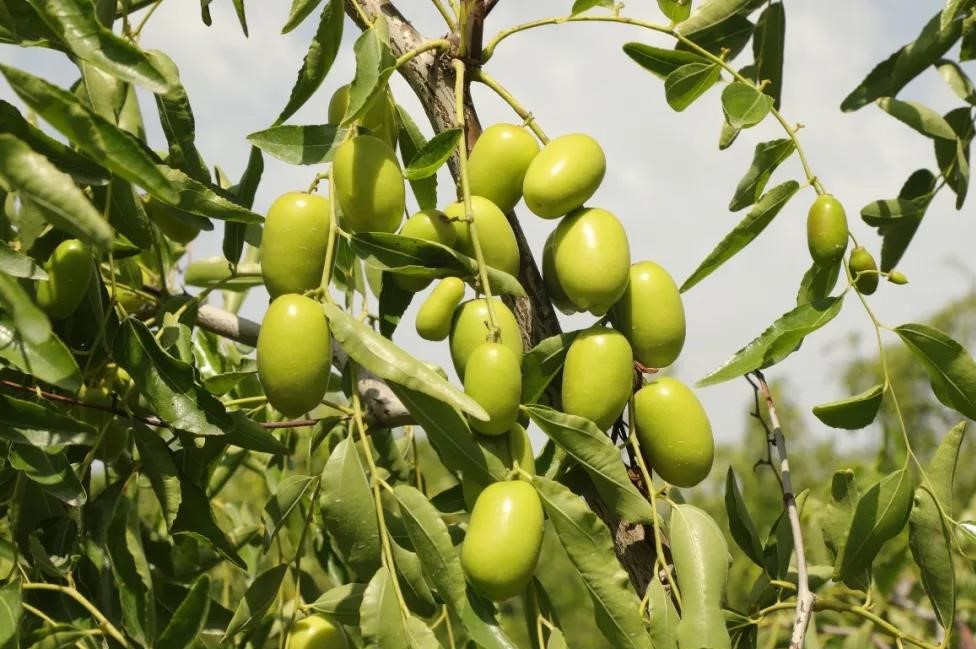 ab20deececa64e52956f42a24fd91258.jpg ab20deececa64e52956f42a24fd91258.jpg