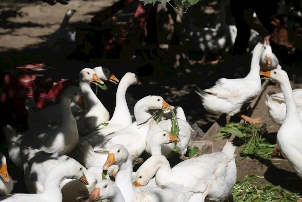 04d9e780ff404bdd8410f3ab1d02c73d.jpg 04d9e780ff404bdd8410f3ab1d02c73d.jpg