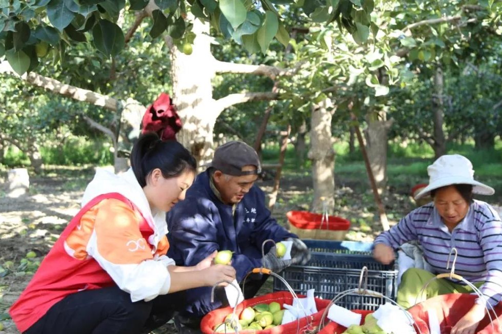 1a1807fa23124262849b8d31575a4a3f.jpg 1a1807fa23124262849b8d31575a4a3f.jpg