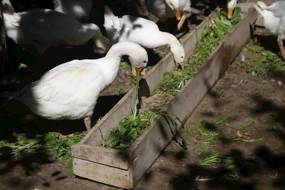 40deff5f85674cb88e5a89a4b2a44d70.jpg 40deff5f85674cb88e5a89a4b2a44d70.jpg