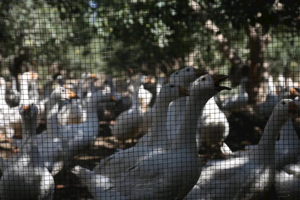 c3d45a44cc4843bb8ed533c8ca9adf12.jpg c3d45a44cc4843bb8ed533c8ca9adf12.jpg