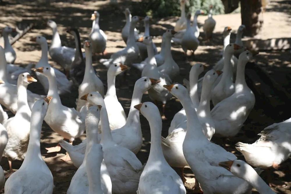 d60f07496c444d048ded176f40750e56.jpg d60f07496c444d048ded176f40750e56.jpg